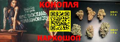 амф Гусев