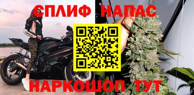 амф Гусев